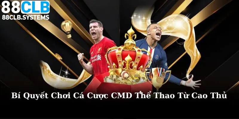 Nắm vững các bí quyết cá cược sports để thắng lớn