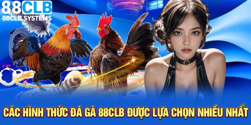 Đa dạng hình thức đá gà độc đáo tại 88CLB