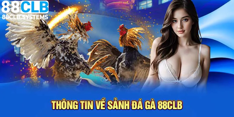 Đá gà 88CLB và vài nét thông tin thú vị