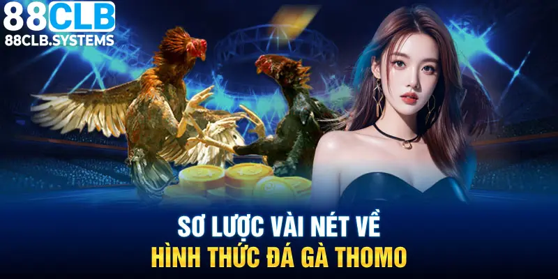 Đá gà Thomo là một sân chơi cá cược hấp dẫn và hợp pháp