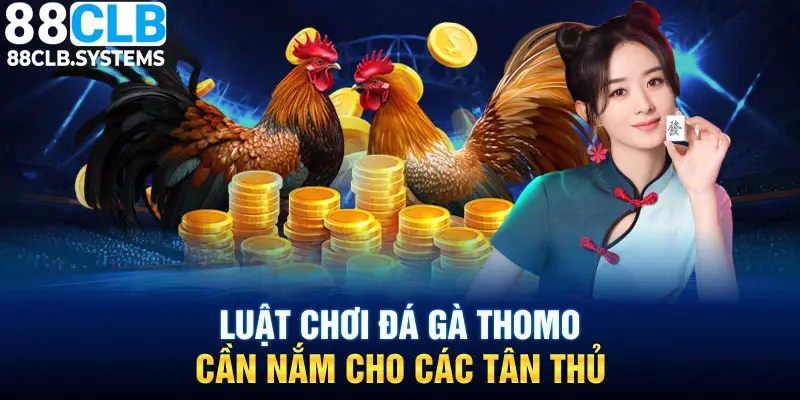 Hướng dẫn chi tiết về luật chơi của đá gà Thomo