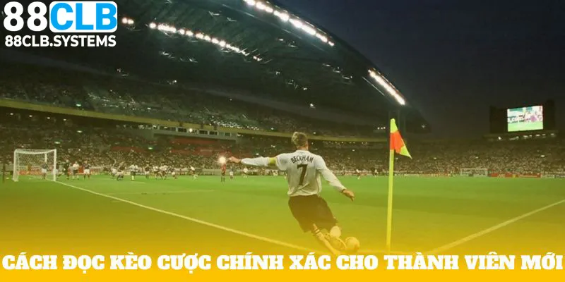 Cách đọc kèo cược chính xác cho thành viên mới